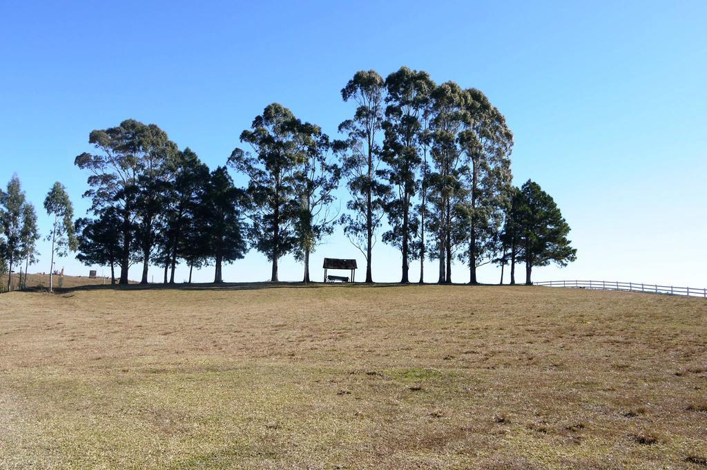 Гостевой дом Pousada Fazenda A Casa Do Morro Камбара Экстерьер фото