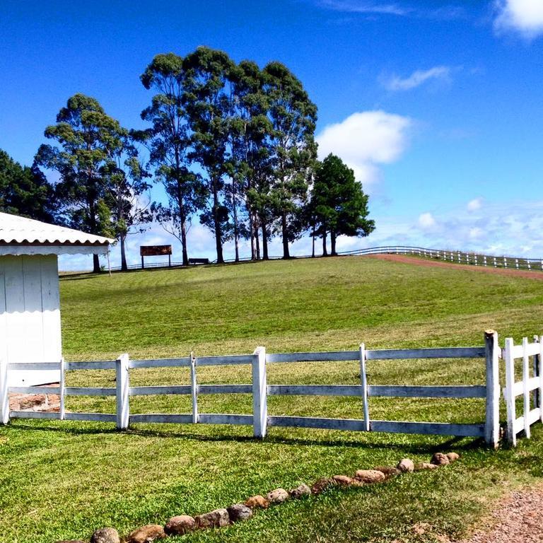 Гостевой дом Pousada Fazenda A Casa Do Morro Камбара Экстерьер фото