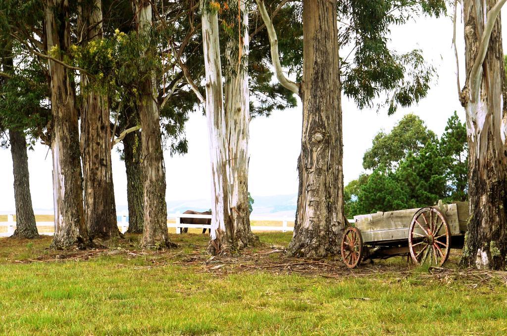 Гостевой дом Pousada Fazenda A Casa Do Morro Камбара Экстерьер фото